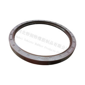 红岩杰狮H8B桥后轮油封190*220*16（单价=1个，1盒=2个）19022016红岩杰狮H8B桥轮边油封190x220x16