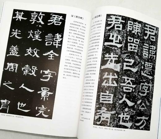 二玄社书法讲座五种：《隶书》《篆书》《楷书》《行书》《篆刻》，16开平装，日 西川宁主编，湖南美术出版社2021年版，单册定价68，售价：34，五册总定价340，售价170元。 商品图9