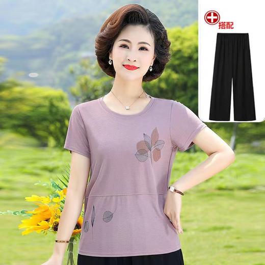 安玛尼半袖1329（3） 商品图0