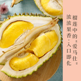 泰国进口托曼尼榴莲榴莲中的“爱马仕” 个头饱满  香味浓烈醇厚  果肉酥软味甜肉质细腻入口即化   拥有滑似黄油的榴莲肉包邮发货