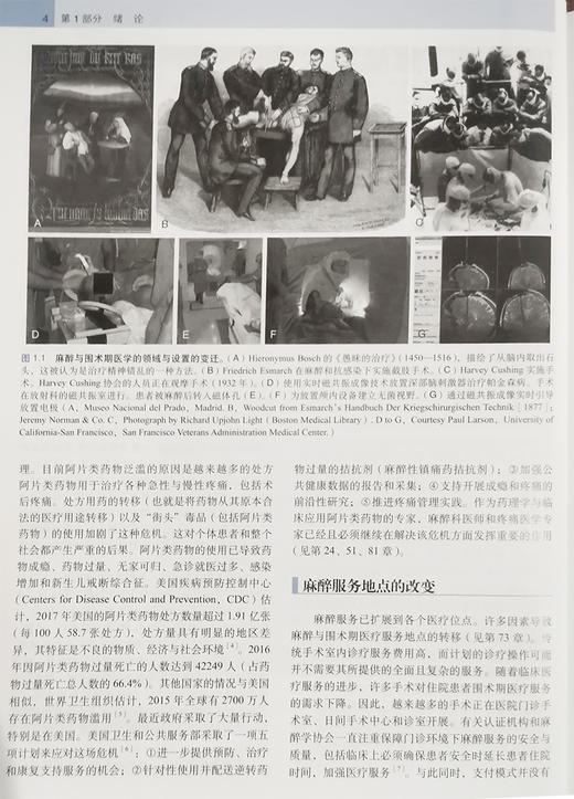 正版现货 米勒麻醉学 第9版5卷 简装版 迈克尔格鲁博 著 麻醉医学参考工具书籍实用临床病案分析 北京大学医学出版社9787565926013 商品图4