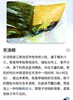 【限量供应】李太灰汤粽 5只 商品缩略图3