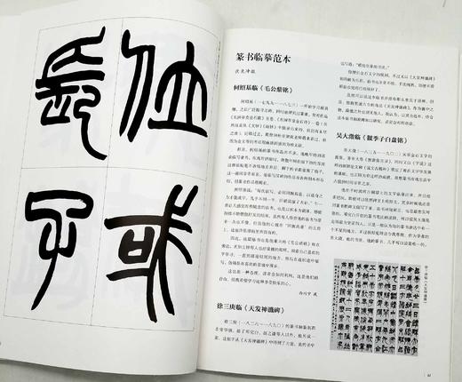 二玄社书法讲座五种：《隶书》《篆书》《楷书》《行书》《篆刻》，16开平装，日 西川宁主编，湖南美术出版社2021年版，单册定价68，售价：34，五册总定价340，售价170元。 商品图8