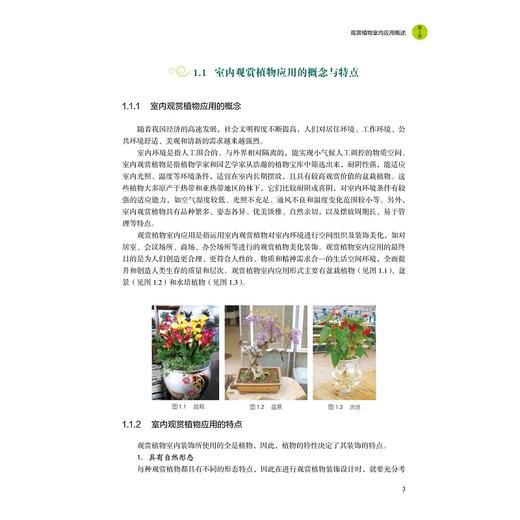 观赏植物室内应用与养护(高职高专园艺专业教材)/吴秀水/浙江大学出版社 商品图3