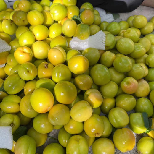 【新疆小白杏】新疆奶油小白杏，杏子，表皮光滑，杏味道很好，甜度高，当季时令上架！ 商品图2