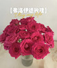 【昆明玫瑰】弗洛伊德，20支/扎，A级 商品缩略图0