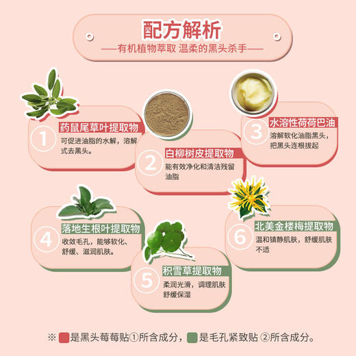 【闺蜜好美节目推荐】买一送一英尚去黑头小绿膜+草莓套装去黑头鼻贴膜祛粉刺清洁收缩毛孔套装2盒装 商品图3