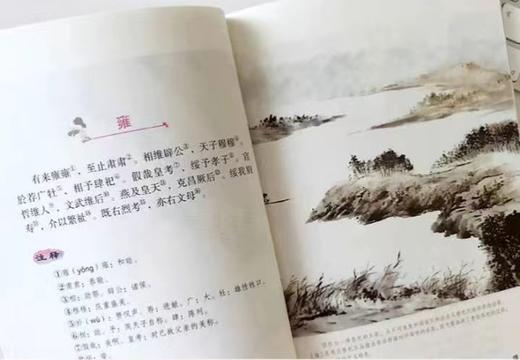 《诗经》原著彩图完整版 商品图4