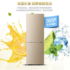 海尔170升两门冰箱 风冷无霜 净味保鲜 低温补偿 租房小冰箱 BCD-170WDPT