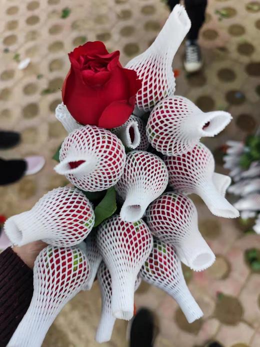 本地法兰西 商品图0