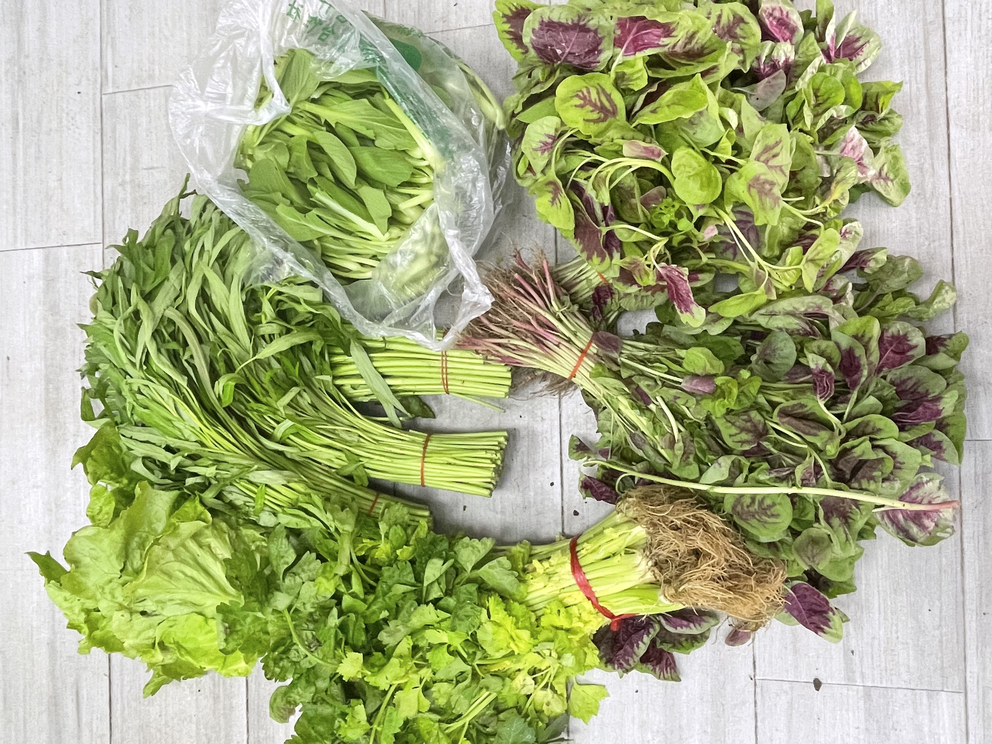 蔬菜（芹菜，鸡毛菜，空心菜，米苋，生菜，一包5个品种）5kg/份