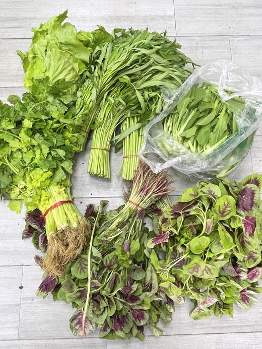 蔬菜（芹菜，鸡毛菜，空心菜，米苋，生菜，一包5个品种）5kg/份 商品图0