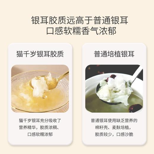 猫千岁  冻干新鲜有机干银耳  30g/袋  CR 商品图7
