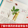 【心如健推荐】彩图精解一看就懂神农本草经 中医药学实用的现代家庭养生全书指导现代人的日常食疗食养 中医养生书 中医基础理论中药学中草药大 商品缩略图2