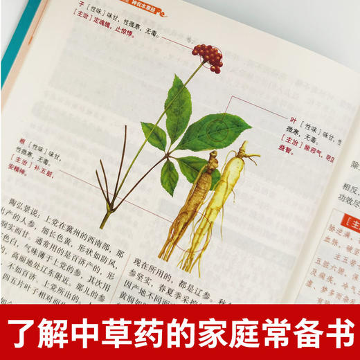 【心如健推荐】彩图精解一看就懂神农本草经 中医药学实用的现代家庭养生全书指导现代人的日常食疗食养 中医养生书 中医基础理论中药学中草药大 商品图2
