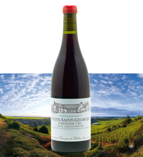 贝侬酒庄夜圣乔治一级雪妮欧园干红2011Domaine de Bellene Nuits-Saint-Georges 1er cru Aux Chaignots