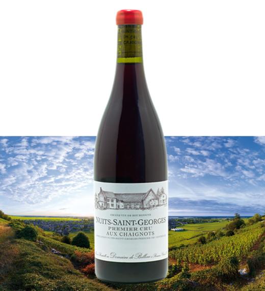 贝侬酒庄夜圣乔治一级雪妮欧园干红2011Domaine de Bellene Nuits-Saint-Georges 1er cru Aux Chaignots 商品图0