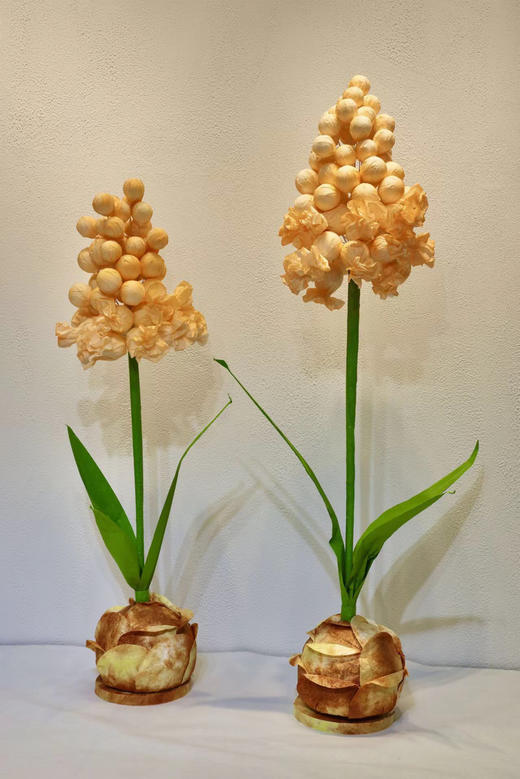 特价风信子（运费自理） 商品图7