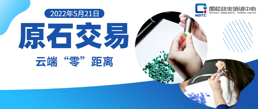 【直击现场】在家看原石交易