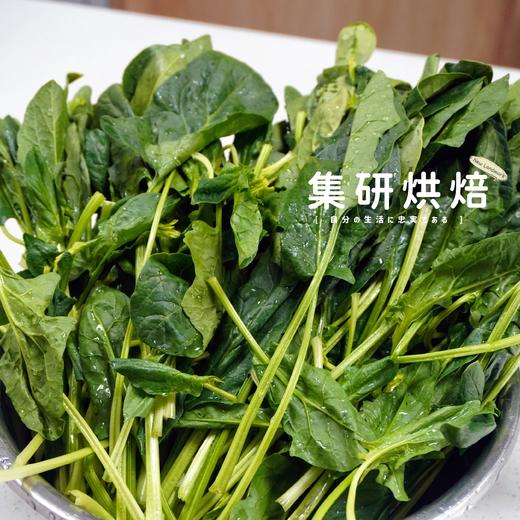 菠菜培根肉松软欧（净重约135g/个） 商品图1