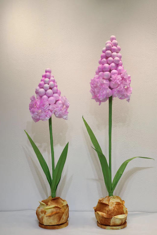 特价风信子（运费自理） 商品图5