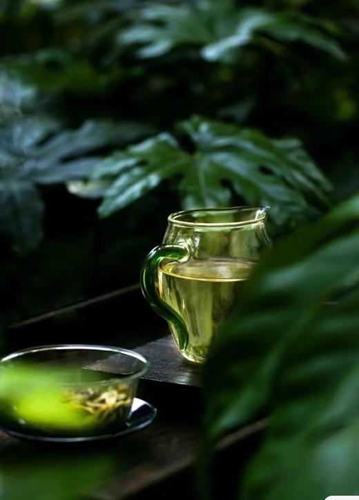 特有千金香~【坝卡囡】班章五寨里的甜蜜性感小情人！ 商品图4