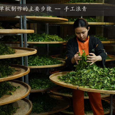 小金砖凤凰鸭屎香 商品图5