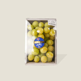 【新鲜水果】澳洲青提