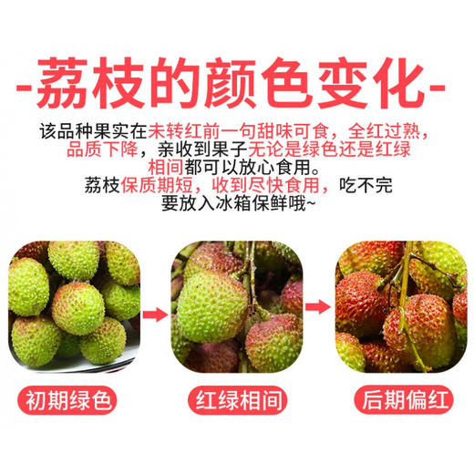 【3斤十堰主城区包邮】新鲜水果 时令尝鲜果香浓郁妃子笑荔枝 2斤/3斤 商品图2