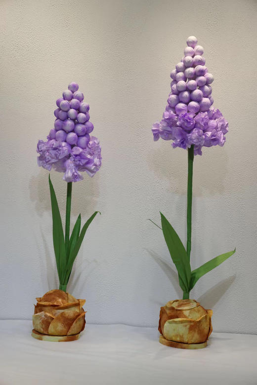 特价风信子（运费自理） 商品图6