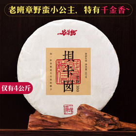 特有千金香~【坝卡囡】班章五寨里的甜蜜性感小情人！