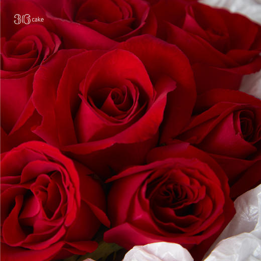 无畏，专款鲜花，可单独拍 商品图2