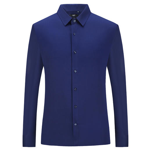 【菁英同款】名盾春夏商务休闲男士长袖无痕修身衬衫衬衣潮31V01 商品图4