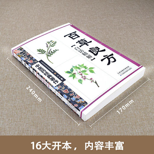 【心如健推荐】百草良方白话精解 商品图1