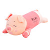 可爱猪猪毛绒玩具公仔抱枕儿童女生礼物可爱睡觉抱枕 商品缩略图4