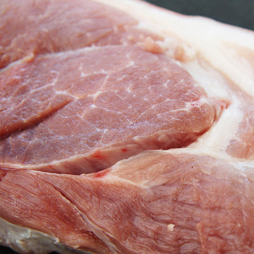 蒲城大红门前腿10公斤 商品图5