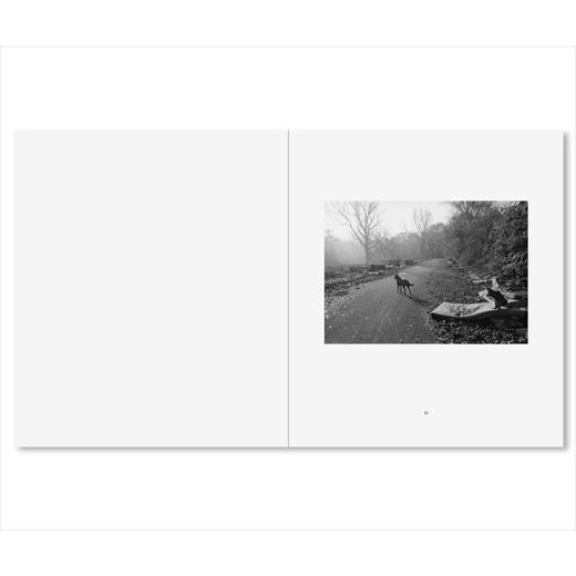 【现货】Mark Steinmetz：South East | 马克·斯坦梅茨：东南部 摄影集 商品图1