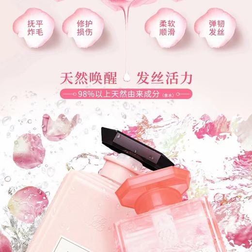黛丝恩 柏娜露 田萃护发素 玫瑰香烫染修复型500ml 商品图2