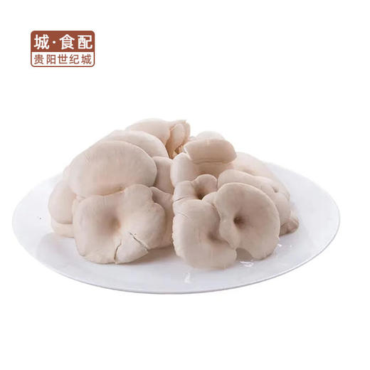 平菇500g/份【GYZH】 商品图0