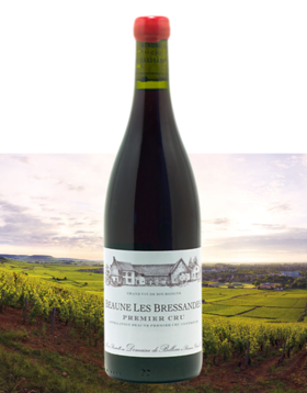 贝侬酒庄伯恩一级布雷颂园干红2011Domaine de Bellene Beaune 1er Cru les Bressandes