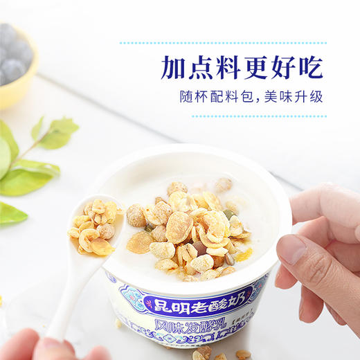 新希望雪兰塑杯老酸奶180g