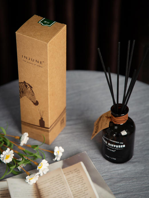 INJUNE斑小马无火香薰 商品图2