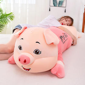 可爱猪猪毛绒玩具公仔抱枕儿童女生礼物可爱睡觉抱枕