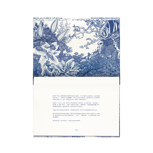 《小海马林格》 商品图2