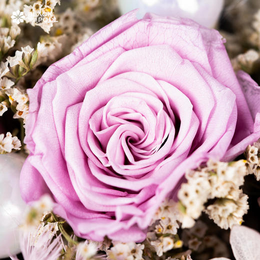 （限南山宝娜）【双子座·永生守护花】浪漫而自由。浅紫色永生花/蓬莱松/绣球/水晶草若干/白色球/羽毛 商品图1
