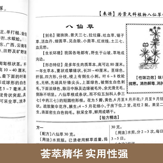 【心如健推荐】百草良方白话精解 商品图3