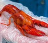经典花雕龙虾 商品缩略图10