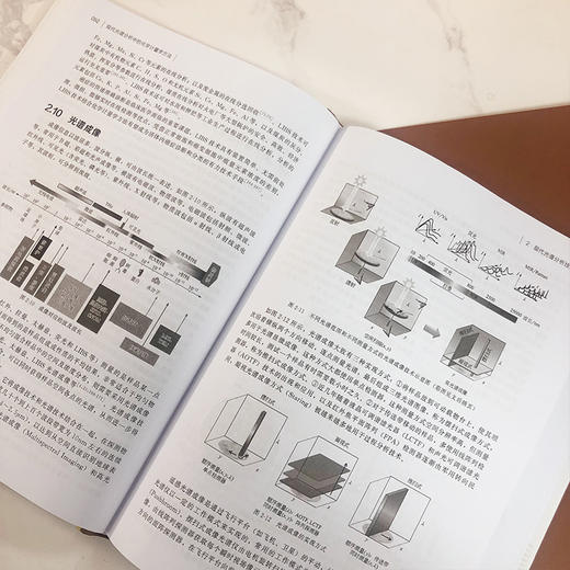 现代光谱分析中的化学计量学方法 商品图6