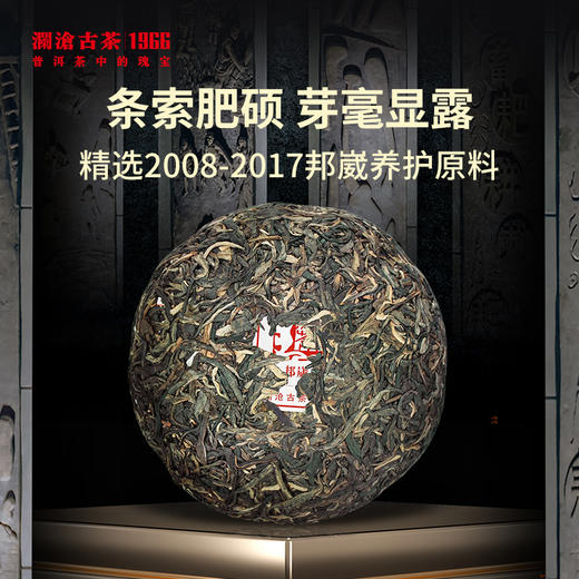 澜沧古茶2022年邦崴茶王（金瓜）普洱生茶500g 商品图2
