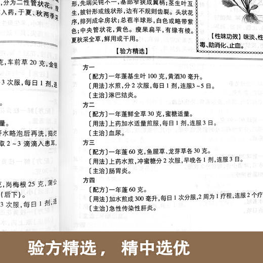 【心如健推荐】百草良方白话精解 商品图2